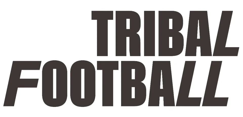 Логотип Tribal Football