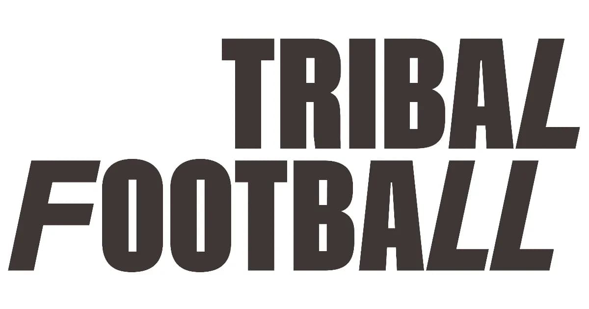 Логотип Tribal Football