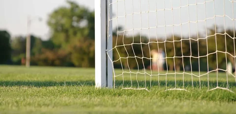 Футбольные ворота на травяном поле