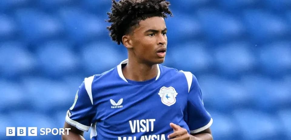 Игрок в синей форме Cardiff City на поле