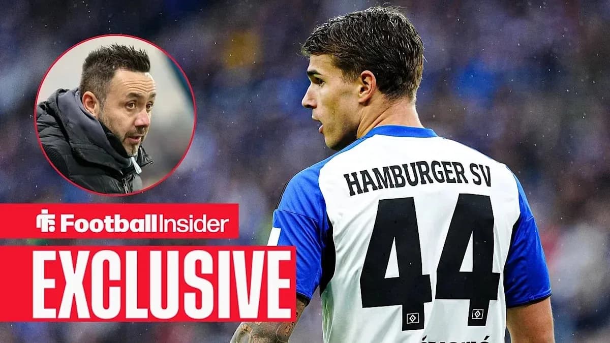 Игрок Hamburger SV с номером 44 на спине Игрок Hamburger SV с номером 44 на спине